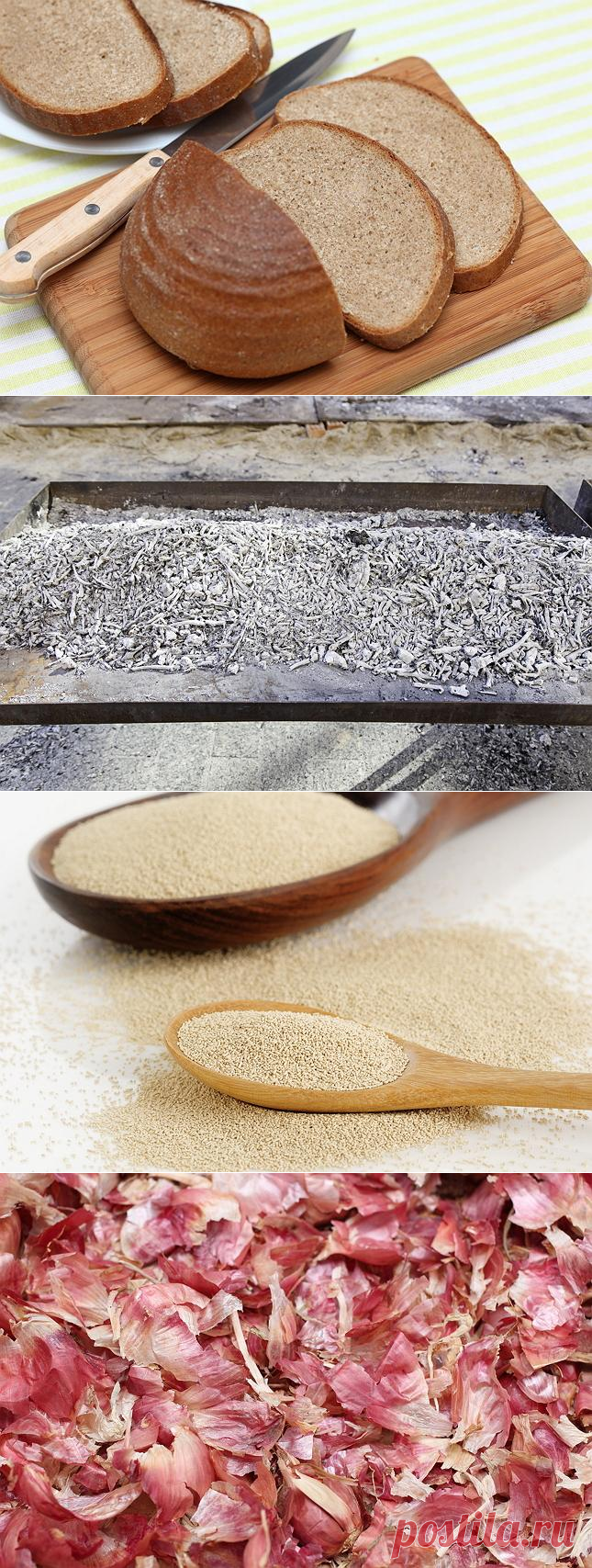 Чем подкормить огурцы для хорошего роста