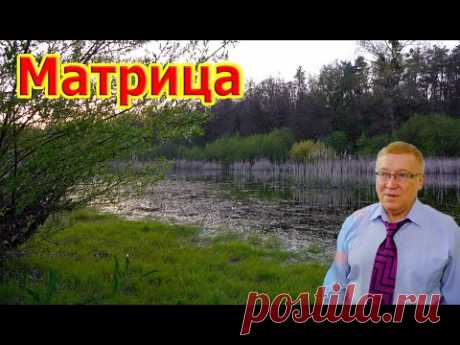 Полная регенерация и исцеление всего тела. Матрица Гаряева.