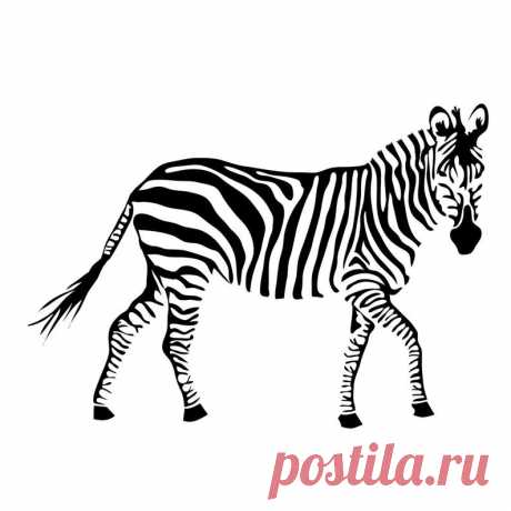 Lifesize Zebra Wall Decal Custom Vinyl Art Stickers | Etsy
