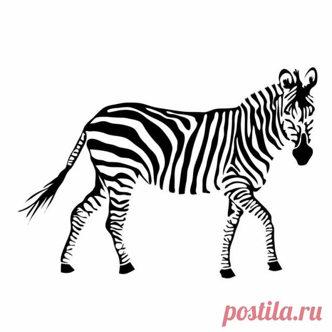 Lifesize Zebra Wall Decal Custom Vinyl Art Stickers | Etsy