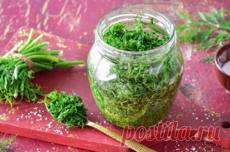 Как заготовить укроп и петрушку, чтобы они долго оставались свежими и ароматными
