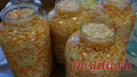 Квашеная капуста на зиму: очень вкусная в 3 литровых банках, как квасить классическим способом, лучшие рецепты квашения хрустящей закуски в трехлитровой таре
