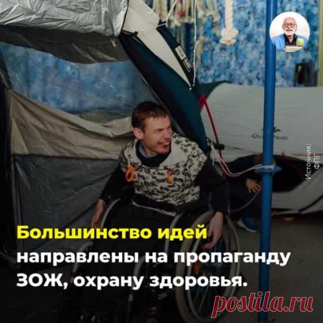как избавиться от фитофторы на помидорах