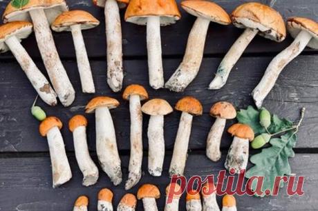 Рецепт вкусных маринованных грибов - Четыре вкуса - Социальная сеть "МТ.RU" Ингредиенты грибы 1/2 гол. свежего молодого чеснока 2 ст.л. сахара 1 ст.л. каменной соли 4-5 лавровых листа 10-12 горошин черного перца 6 горошин душистого перца 3 бутона гвоздики 2-3 г сухого укропа 1 ст. воды 80% уксусная эссенция Рецепт приготовления 1. Грибы чистим, моем, режем Подписывайтесь, читайте, комментируйте, ставьте лайки