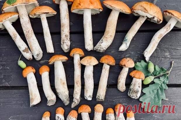 Рецепт вкусных маринованных грибов - Четыре вкуса - Социальная сеть 