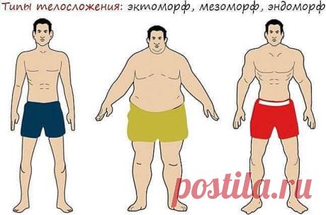 Телосложение и болезни: в чем связь