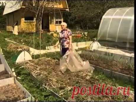 Сад, огород, дача