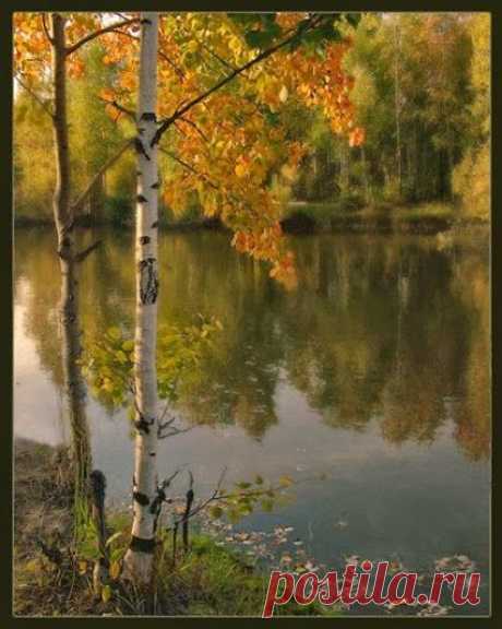 Вера Карелина – Google+