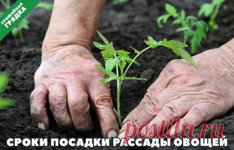 (47) Одноклассники