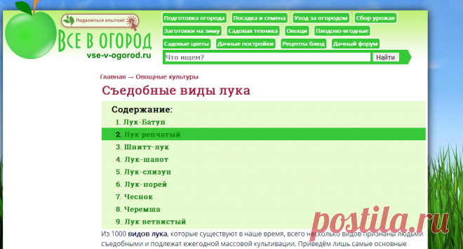 Cъедобные виды лука