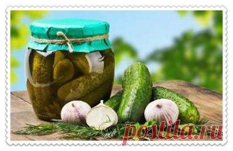 Огурцы соленые, хрустящие на зиму без уксуса