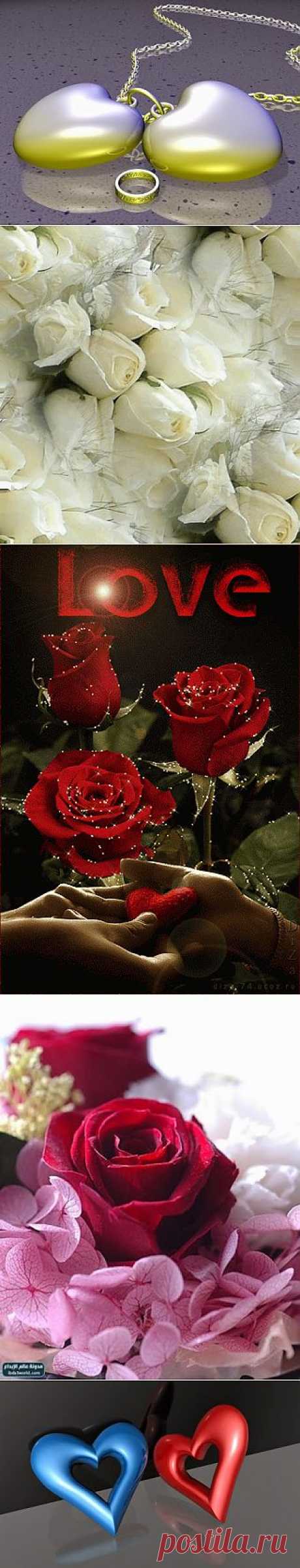 MELİH ŞİMŞEK – Google+