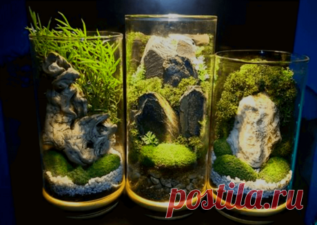 Флорариумы: виды, описание, идеи оформления ~ Planetalsad