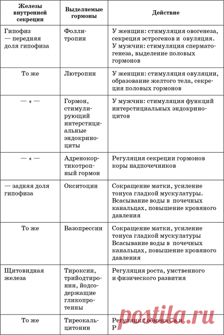 железы внутренней секреции таблица – Google Поиск