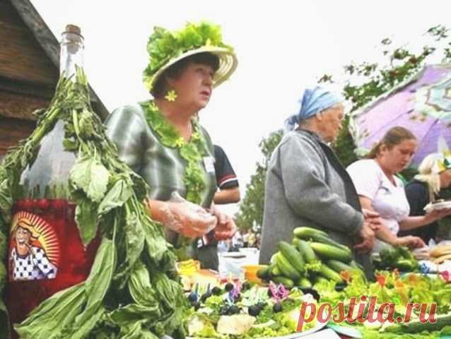 Сколько в современной жизни есть поводов для праздника? Исключая официальные государственные каникулы, круг торжественных мероприятий у среднестатистического россиянина ограничивается юбилеями, свадьбами и именинами. Это же нечестно! Живем мы один раз, соответственно, сделать это нужно ярко и красиво! И потому в славном городе Суздале то и дело организовываются диковинные праздники, как то день Огурца, например. Что это есть такое? Узнаете из этого материала!