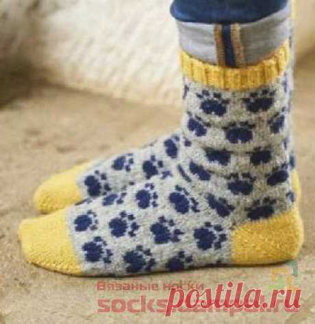 Вязаные носки «Pawfect pair» | ВЯЗАНЫЕ НОСКИ