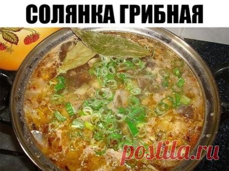 Солянка грибная 
Ингредиенты: 
- 500 гр грибов 
- 300 гр капусты 
- 2 луковицы 
- 2 ст. ложки томатной пасты или кетчупа 
- 3-4 соленых огурца 
- зеленый лук 
- перец 
- лавровый лист 
Приготовление: 
1. Режем капусту и тушим на сковороде вместе с предварительно отваренными грибами до готовности капусты. Перекладываем в емкость в которой будем варить солянку грибную, заливаем водой и ставим на огонь. 
2. Пока закипает солянка грибная, мелко порезанный лук поджариваем 5 мин на подсолнечном мас