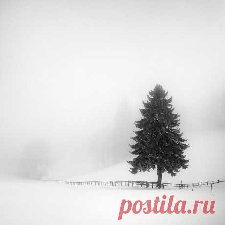 Тихий восторг. Пейзажные фотографии Пьера Пеллегрини