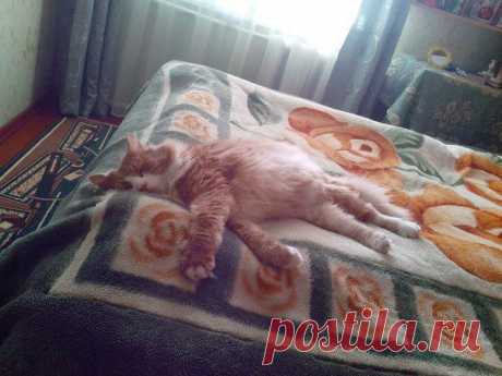 geram: Каким судом судите,таким будете судимы;и какою мерою мерите,такою и вам будут мерить---Иисус Христос