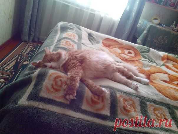 geram: Каким судом судите,таким будете судимы;и какою мерою мерите,такою и вам будут мерить---Иисус Христос