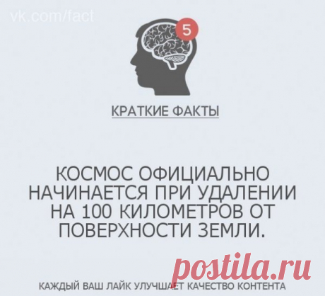 Краткие факты обо всем на свете - МирТесен