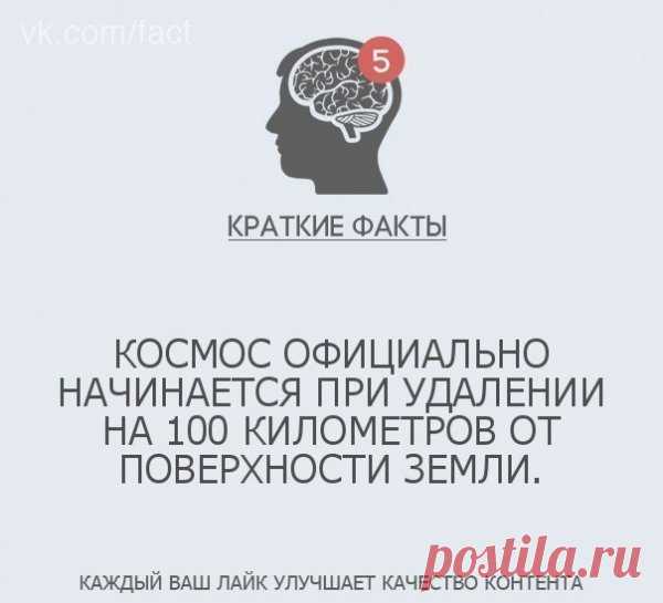 Краткие факты обо всем на свете - МирТесен
