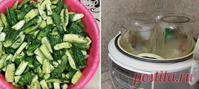 Салаты из огурцов на зиму – 10 рецептов «пальчики оближешь»