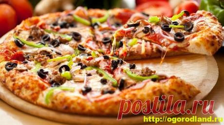 Пицца из куриного фарша. Рецепт приготовления