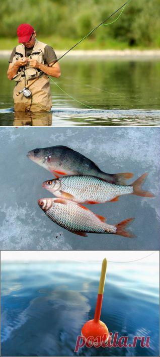 ​Оснащение рыбака! прикормка, оснастка, ловля, удочка, наживка, рыболов, водоем, рыба, рыба, крючок, черви, хобби, увлечение, озеро, поездка, речка, лодка, отдых, занятие, река, страсть, снаряжение, клев, улов, увлекаться, клевать, купаться, ловить, рыбная ловля, снасть, вываживание, подсечка, добыча, леска,снасти, крючок, грузило, лов, удила