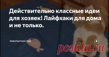 Действительно классные идеи для хозяек! Лайфхаки для дома и не только.
