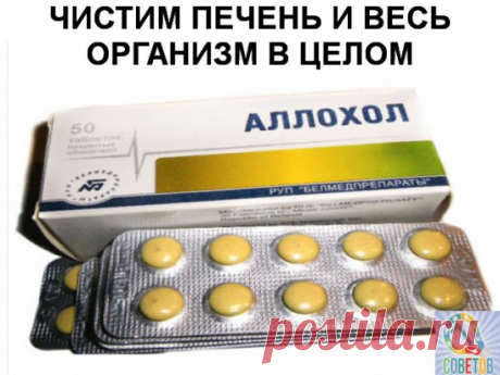 (53) Одноклассники