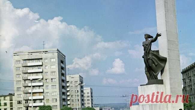 Историк опроверг миф о массовом сотрудничестве молдаван с нацистами