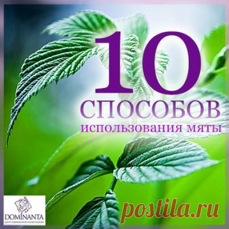 (104) Chef's notes ~ Записки шеф-повара
