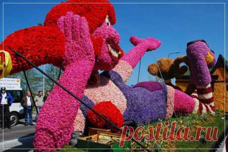 Вокруг Света: Парад цветов в Аалсмеере (Голландия)