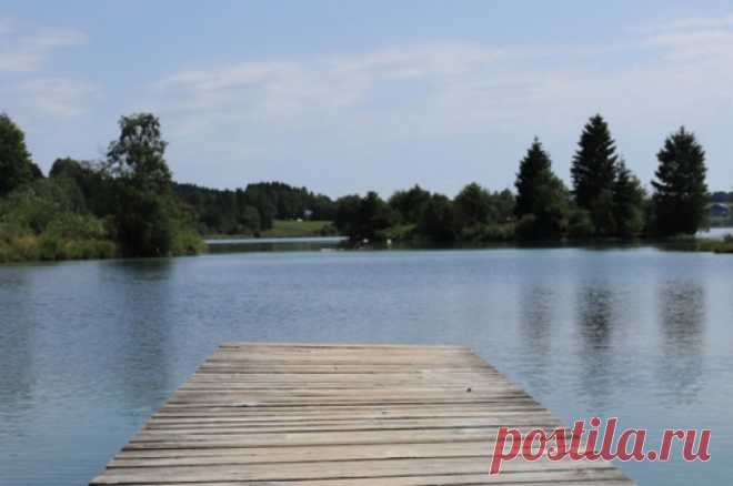 Прыгал в воду, не уследили. Малыш утонул на глазах у матери в Подмосковье. Трагедия произошла на пляже ЖК «Жемчужина» в деревне Гигирево под Звенигородом. Малыш прыгал в воду с мостков, но в очередной раз не вынырнул.