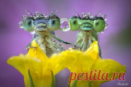 500px (@500px) | Твиттер