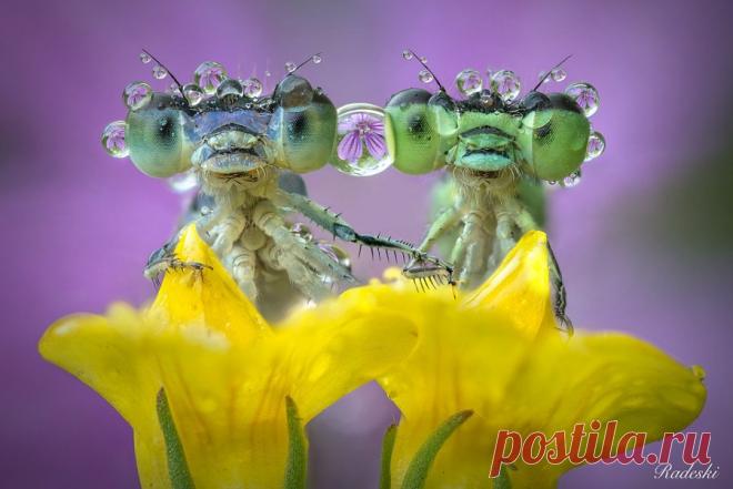 500px (@500px) | Твиттер