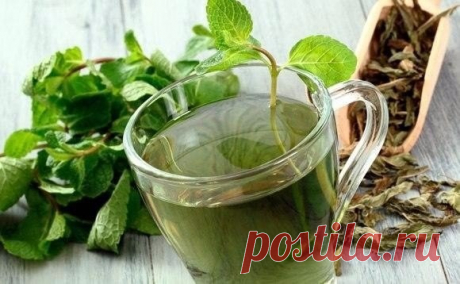 РЕЦЕПТЫ ЛЕЧЕНИЯ РАКА ОТ ОТЦА ГЕОРГИЯ

Рекомендуемый сбор лечит злокачественные опухоли любой локализации,обновляет строение клеток во всем организме. Противопоказаний не имеет.


...