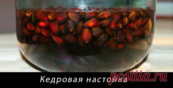 Кедровка. Лечебная настойка на кедровых орешках от боли в суставах и от других недугов