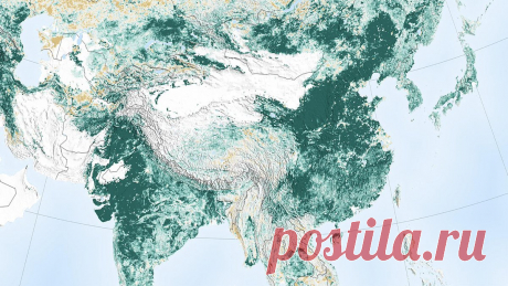 - Троллинг поднебесного уровня, пацаны!
Пока Китай пилит российскую тайгу, в самом же Китае идёт программа озеленения собственной территории.