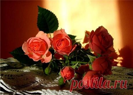 Если солнышко светит в окно -
Это я тебя утром встречаю.
Если дождик идет давно -
Значит, я по тебе скучаю.
Если ветер щекочет лицо -
Это я тебя нежно целую.
Если молния в небе сверкнет -
Значит, я к кому - то ревную.
Если звезд на небе не счесть -
Это я тобою любуюсь.
Если выпал мелкий снежок -
Значит, я за тебя волнуюсь.
Если в небе большая луна -
Значит, я за тобой наблюдаю.
Если, вдруг, разыгралась гроза -
Значит, я о тебе вспоминаю.
Как бы день не начался с утра -
Сол...