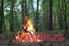 Сегодня 06 апреля в народном календаре Артемон — дери полоз