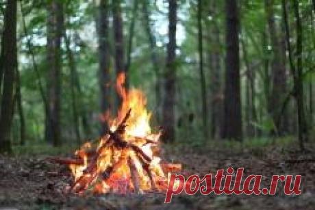 Сегодня 06 апреля в народном календаре Артемон — дери полоз