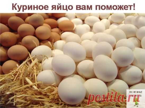 Куриное яйцо вам поможет
