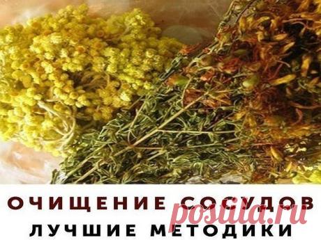 ОЧИЩЕНИЕ СОСУДОВ. ЛУЧШИЕ МЕТОДИКИ