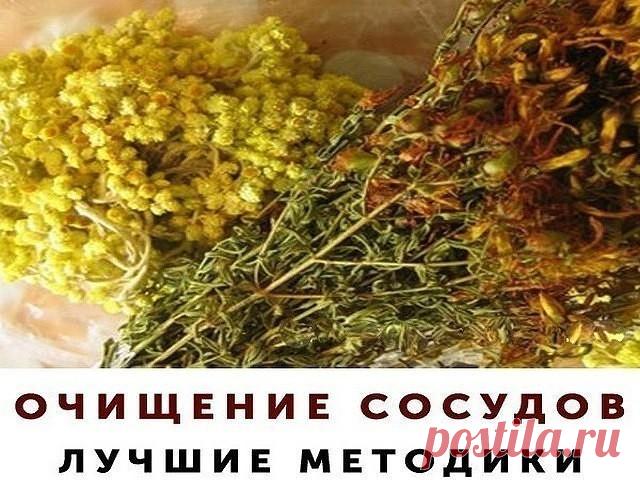 ОЧИЩЕНИЕ СОСУДОВ. ЛУЧШИЕ МЕТОДИКИ