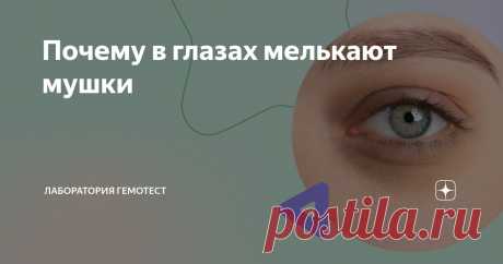 Почему в глазах мелькают мушки Статья автора «Лаборатория Гемотест» в Дзене ✍: Мельтешащие мушки — не галлюцинация и не обман зрения, а особенность, с которой сталкивается каждый четвёртый человек в мире.