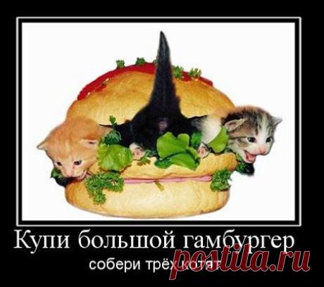 типа квест )))