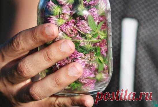 С июня таблеток от гипертонии уже не принимаю!