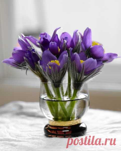 Доброе утро! Чудесного дня!! 😊